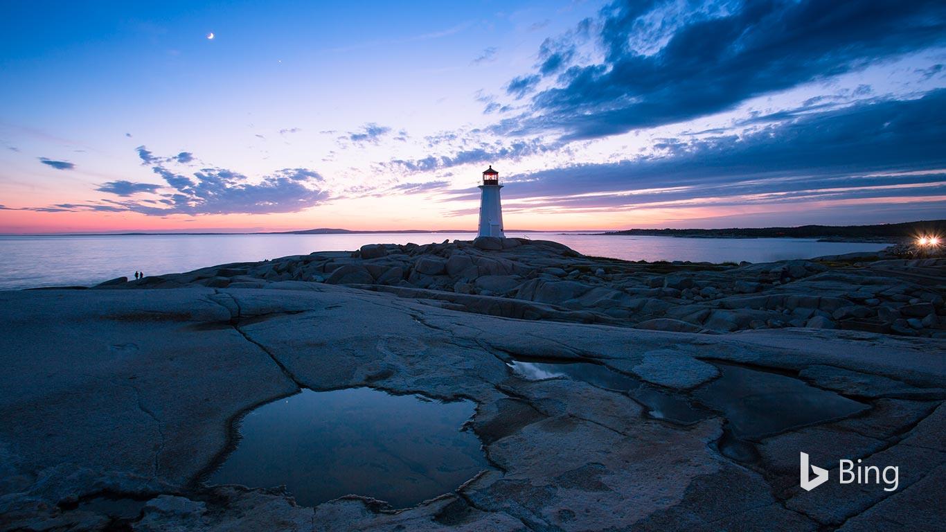 Understanding Search Discrepancies: Where Is Brain & Success Content?